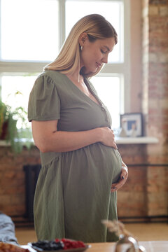 Vertical medium long portrait of happy young Caucasian woman expecting baby wearing causal dress touching her belly