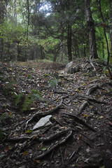 Sentier Falaise La Rouche 17 Août 2025