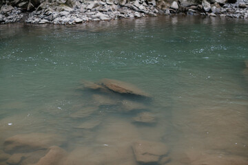 Clean river flowing over rocks in a trout fishing spot