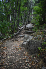 Sentier Falaise La Rouche 17 Août 2025