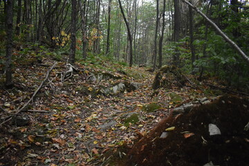 Sentier Falaise La Rouche 17 Août 2025
