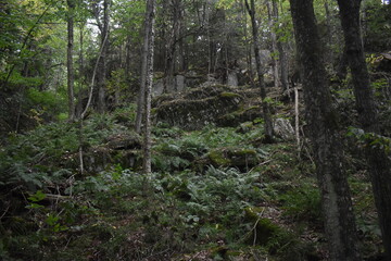 Sentier Falaise La Rouche 17 Août 2025