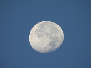 A daytime moon, as seen in the skies above the Bombay Hook National Wildlife Refuge, Kent County, De;laware. 