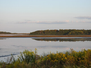 The natural beauty of the wetlands, with the early morning light and reflection upon still water....