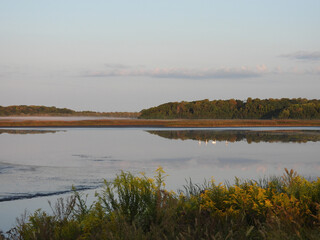 The natural beauty of the wetlands, with the early morning light and reflection upon still water....