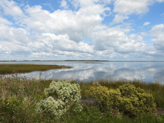 The scenic beauty of the wetlands within the Bombay Hook National Wildlife Refuge. Natural...