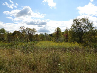 The natural beauty, early autum colors, of the wilderness within the Bombay Hook National Wildlife...