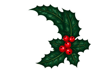 holly and berries