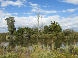 The natural beauty of Raymond Gut Creek, Leipsic River, that runs through the Bombay Hook National...