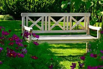 wygodna drewniana ławka na trawniku wśród zielni i kwiatów, jasna ławka drewniana w ogrodzie, Kosmos podwójnie pierzasty, Cosmos bipinnatus, Wooden bench in a garden with lush greenery and flowers  © kateej