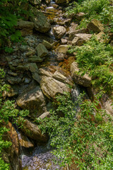 tranquil mountain stream gently flowing over rocks, surrounded by lush greenery and ferns,...