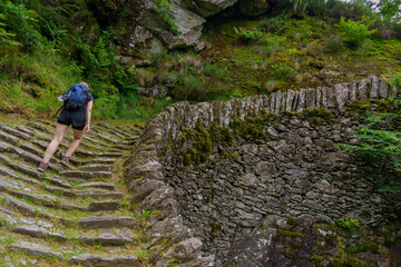 determined hiker ascending a steep stone path surrounded by lush greenery, showcasing the beautiful...