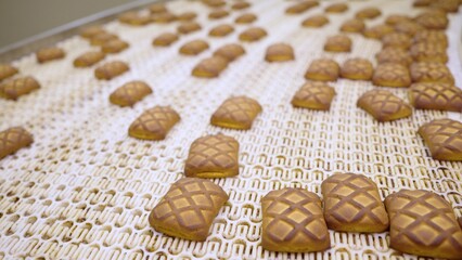 Cookies baking on conveyor belt in food processing plant