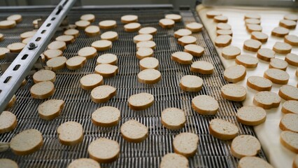 Round crackers move along a conveyor belt, passing under a dispenser spreading a white powder,...