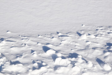 Snow texture