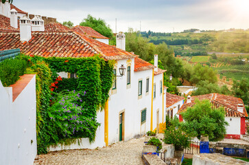 Beautiful cozy street in old  town Obidos, Portugal, in summer day