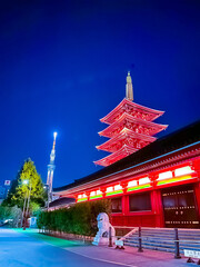 Fototapeta premium Tokyo, sightseeing, night, Asakusa, Sensoji Temple, TOKYO SKYTREE / 東京、観光、夜、浅草、浅草寺、スカイツリー