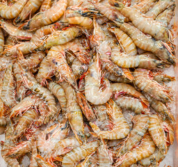 Large Green Wild Tiger Prawns being sold at Sydney Fish Market at Blackwattle Bay, Sydney, 2020