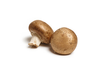 Baby Bella Mushrooms isolated on white background