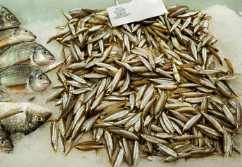 Local Sandy Sprat (Whitebait) being sold at Sydney Fish Market at Blackwattle Bay, Sydney, 2020