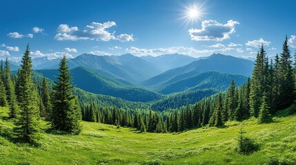 Fototapeta premium Sunny mountain landscape with green trees and grass under a blue sky.