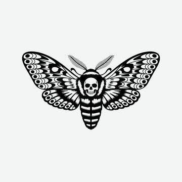 Vintage skull moth vector illustration, black and white tattoo style insect emblem, gothic death head butterfly eps design