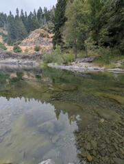 Creek Stream River Forest Woods Redwoods Mountains