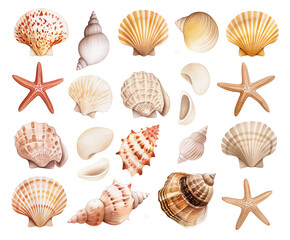 Watercolor clipart of a seashell collection arranged with small pebbles, isolated on a plain background, highlighting delicate textures, natural colors, and a coastal, beach-inspired feel.