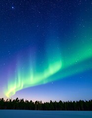 Aurora borealis over snowy forest