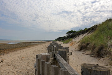 Snow fence serves as a beach sand barrier to prevent dunes from eroding