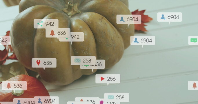 Fototapeta Social media interaction icons image over autumn pumpkins and leaves on white surface