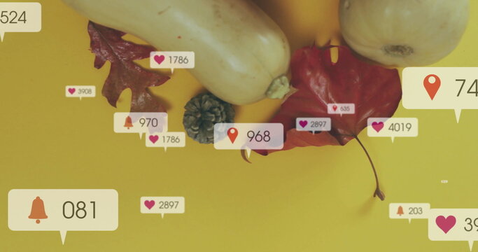 Fototapeta Social media notifications image over autumn leaves and squash on yellow background
