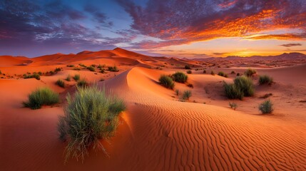 Fototapeta premium A breathtaking panorama of a desert landscape at sunrise, showcasing vibrant hues of orange and purple in the sky, rolling dunes of terracotta-colored sand, and sparse vegetation.
