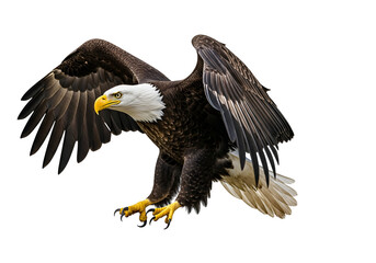 Fototapeta premium Powerful bald eagle in mid-flight, showcasing intricate plumage details against a stark black background.