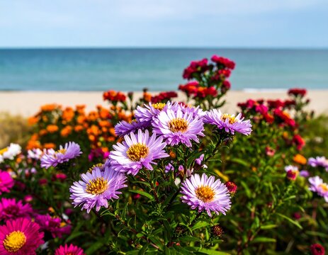 Colorful flowers by the ocean