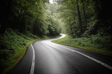 Obraz premium Winding road through dense green forest with wet asphalt and soft natural light conveying tranquility and calmness