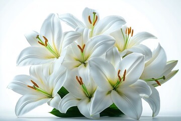 Fototapeta premium Close-up of a vibrant bouquet of fresh white lilies with green stems against a bright and soft background conveying purity and elegance