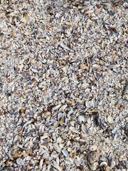 pebbles on the beach