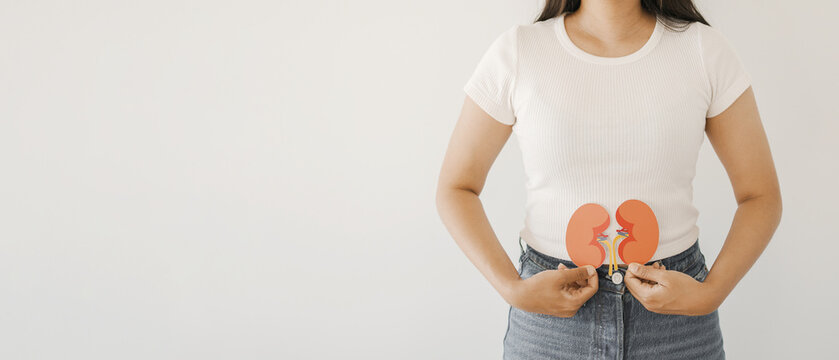 woman hands holding kidney shaped paper, world kidney day, Organ Donor Day, kidney cancer tumour concept