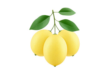 Yellow pomelo citrus fruit green leaf fresh tropical juicy healthy organic natural ripe isolated sweet round vitamin C diet vegetarian food agriculture harvest antioxidant snack dessert nutrition