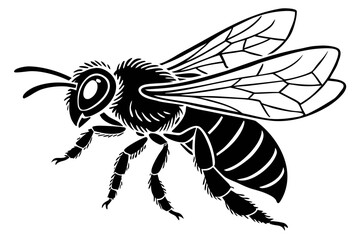 Honeybee  sihouette black vector