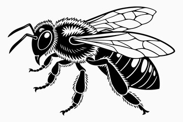 Honeybee  sihouette black vector