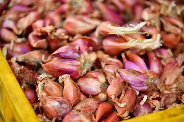 Fresh red shallots from Taiwan's major production region. Essential cooking ingredient for...