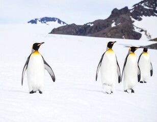 Fototapeta premium Penguins on snow-covered landscape