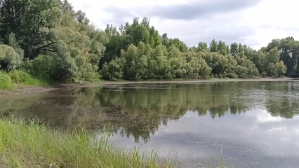 A semicircular lake shore with a sloping slope and dense forest under a summer cloudy sky.