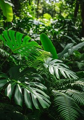 Obraz premium Lush greenery and vibrant foliage create a tranquil tropical forest atmosphere