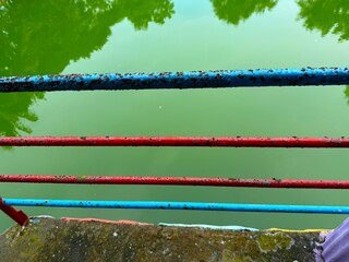 Colorful rusted railings overlook a water body reflecting trees with paint peeling off of them