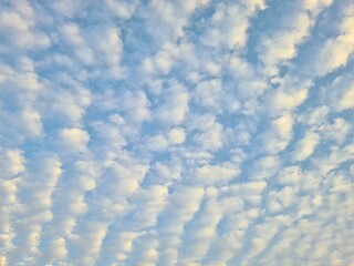 Fototapeta premium Wavy clouds in the blue sky with golden sunrise light