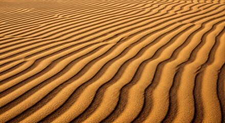 Fototapeta premium Close-up of Sand Dunes with Rippled Texture in Desert Landscape