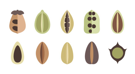 Abstract Swirl Pattern Vector Art with Dynamic Curves and Modern Style Vector Illustration